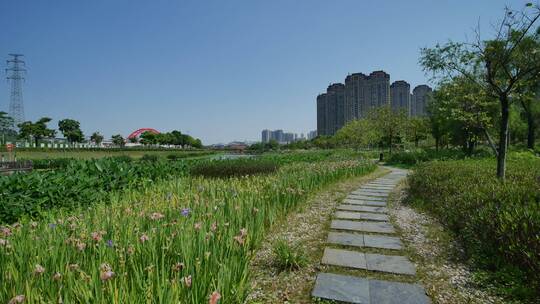 广西南宁那考河湿地公园