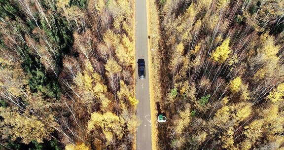 航拍穿越在金秋林海公路上的越野车