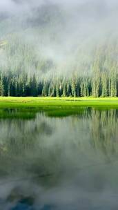 云雾缭绕的山林湖泊景观竖屏