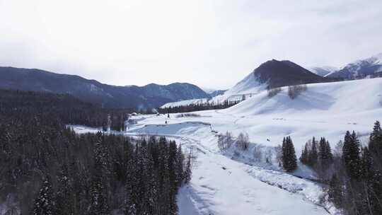 航拍新疆禾木雪景森林美丽峰雪山积雪河道