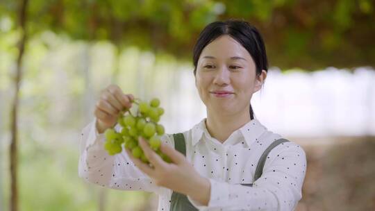 年轻女性果园主举起丰产葡萄对着镜头微笑
