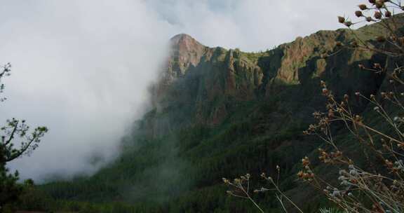 泰德，火山，特内里费岛，云