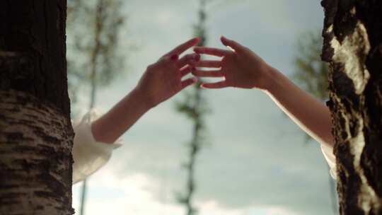 林间双手相触特写