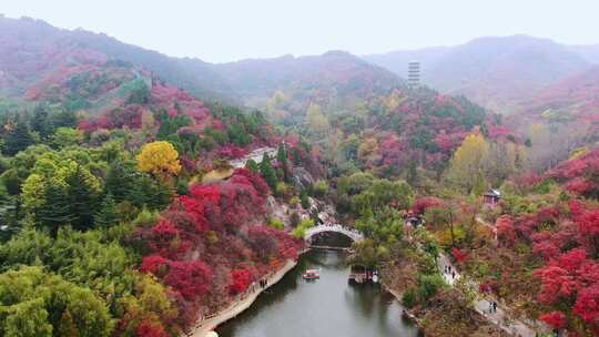 山东济南南部山区红叶谷秋天航拍