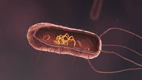 医学病原体病毒病原体病菌细菌医学三维动画