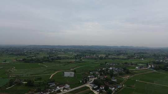 国家级水稻油菜制种基地