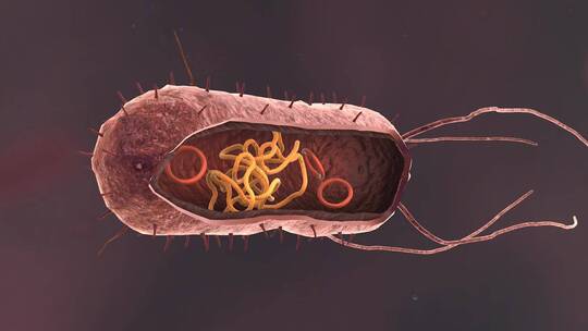 医疗病菌病毒细菌分子病原体生物三维动画