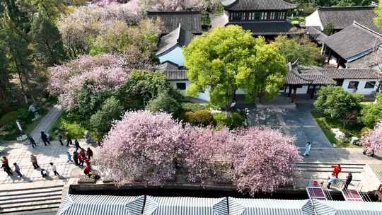 平静湖面旁的城市景观