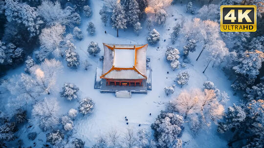 雪景下雪冬天冬季苏州园林烟雨江南