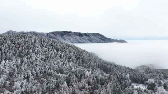 庐山如琴湖雪景雾凇云海航拍