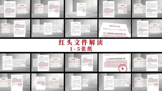 红头文件 政策解读 白色背景