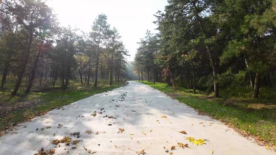 主管视角行驶在公路上