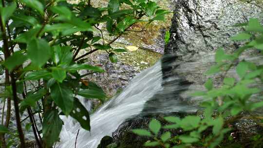 森林流水大自然小溪水瀑布山涧水源泉水山水