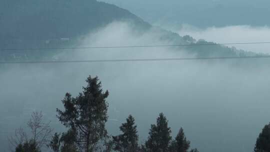 大雾清晨山间森林 云雾缭绕