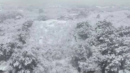 武汉东湖风景区冬季雪景风光