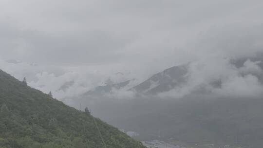 4k森林大自然风景山水云海自然山川 丘陵