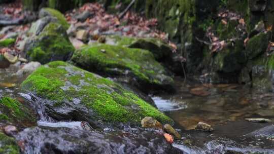 意境唯美大自然 森林山谷 山沟青苔绿石溪流