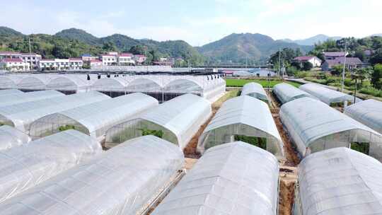 长沙市浏阳葛家镇辣椒种植大棚航拍