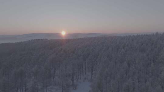 中国最北端的白色森林雪景日出航拍