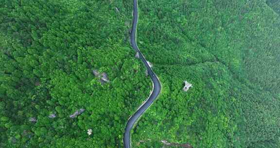 穿过森林的盘山公路