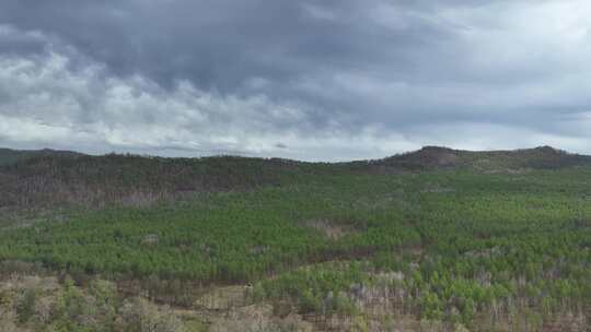 航拍初夏大兴安岭风景