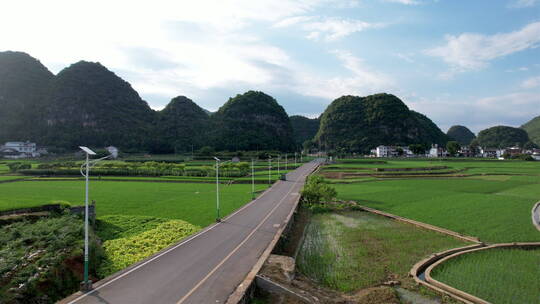 新农村稻田马路