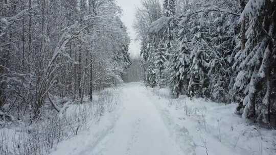 航拍冬季森林公路雪景