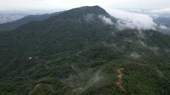 深圳阳台山森林国家公园云雾