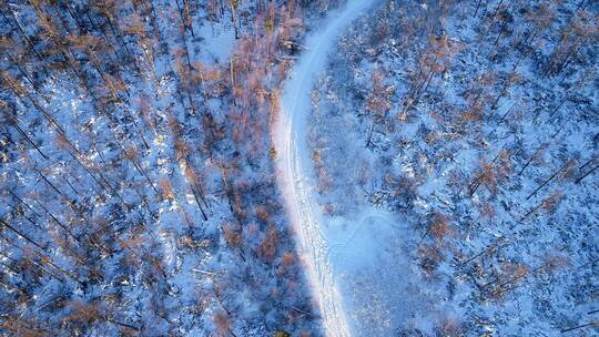 航拍大兴安岭森林雪路