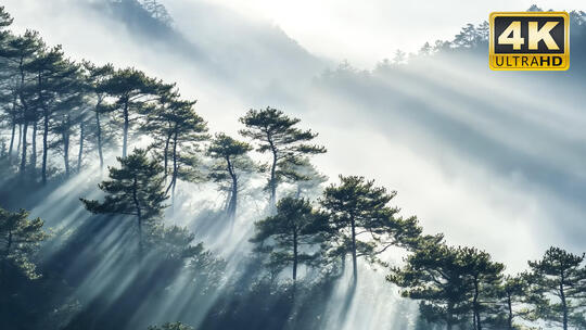 翠华山丹霞山武夷山唯美山脉视频素材2