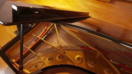 高端唯美沉浸式逆光优雅弹钢琴斯坦威琴独奏