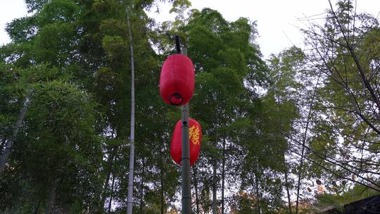 杭州西湖景区黄龙洞景点