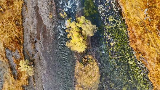 秋天美丽的河流（阿尔山秋色）视频素材模板下载