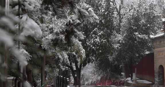 护国兴教寺雪景 寺院  唐三藏寺院