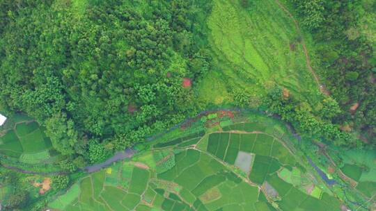 乡村农村田野稻田航拍道路山路楼房