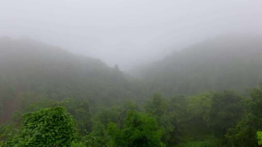 雾气山谷迷雾森林