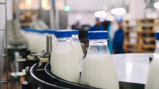 奶厂将奶制品倒入塑料瓶的输送线