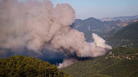森林火灾烧毁树木，自然灾害