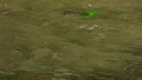 水面波动滴水