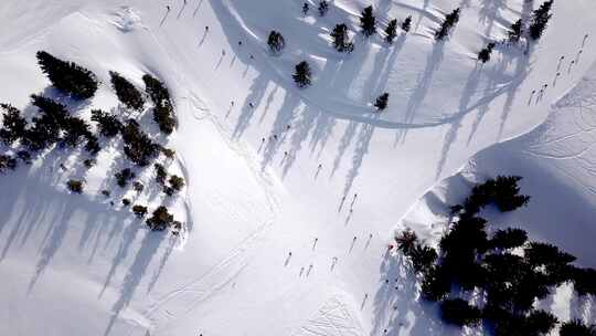 航拍滑雪场和滑雪的人
