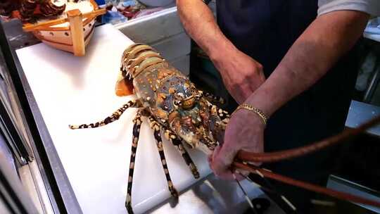 海鲜美食澳洲大花龙刺身鲜活登场