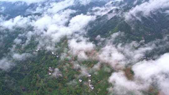 大雾清晨云雾大山云海森林自然云山脉山区