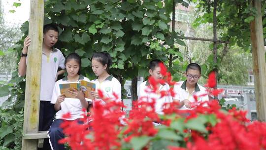 学生读书日自习图书馆户外看书学生学习视频素材模板下载