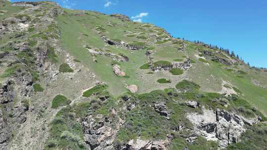 航拍新疆山区山羊在山上奔跑