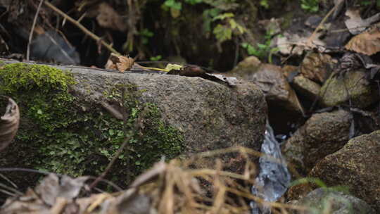 河流 溪流 溪水 泉水 水源 山水