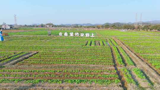 航拍冬季白昼乡村土地农业生态种植场景