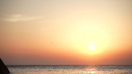 夕阳大海海鸥飞翔晚霞美景