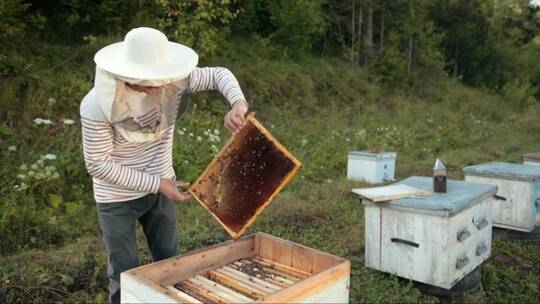 蜂箱旁边的养蜂人