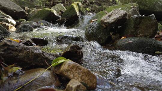 溪水山泉河流水源视频素材模板下载