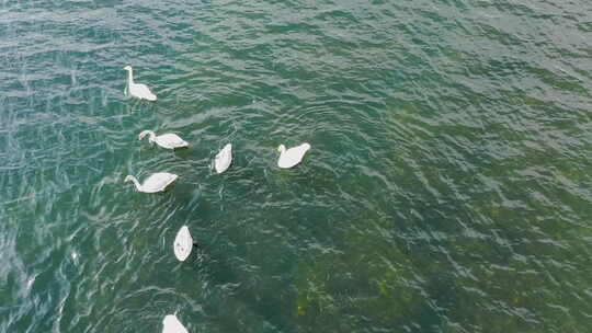 航拍中国河流湖泊山川